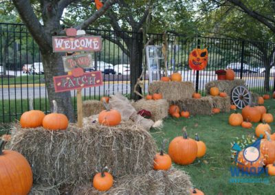 Pumpkin Patch