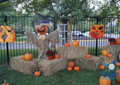 Pumpkin Patch