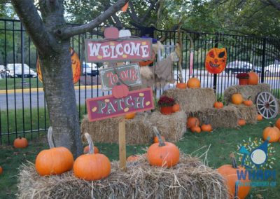 Pumpkin Patch