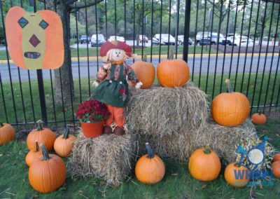 Pumpkin Patch